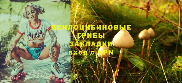 spice Балабаново