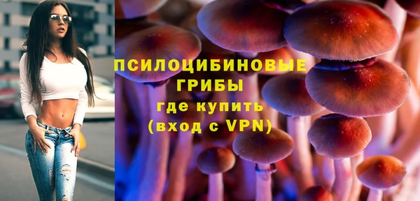 молекула духа Балахна