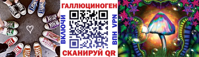 Псилоцибиновые грибы мицелий blacksprut зеркало Пятигорск